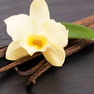 Vainilla
