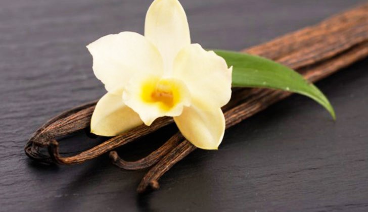 Vainilla